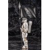 LUDENS